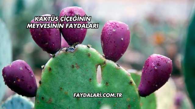 Kaktüs Çiçeğinin Meyvesinin Faydaları