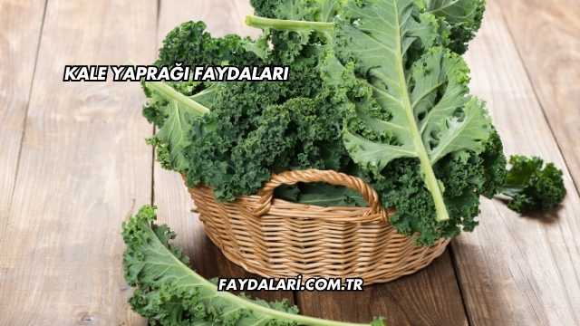 Kale Yaprağı Faydaları