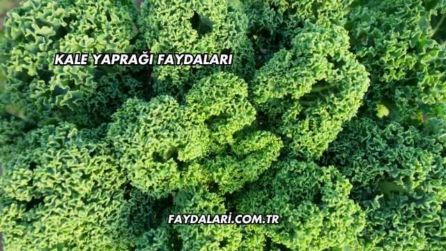 Kale Yaprağı Faydaları
