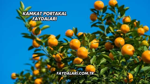 Kamkat Portakal Faydaları