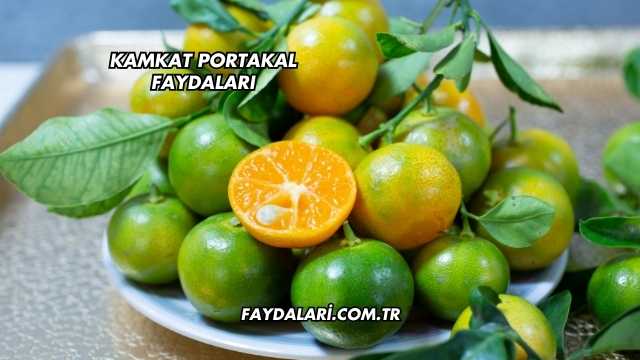 Kamkat Portakal Faydaları