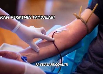 Kan Vermenin Faydaları