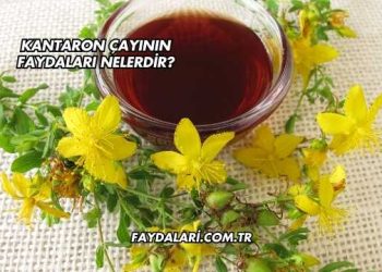 Kantaron Çayının Faydaları Nelerdir?