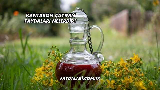 Kantaron Çayının Faydaları Nelerdir?