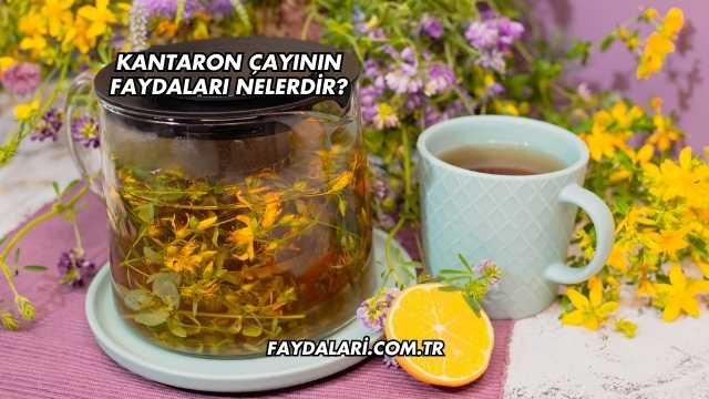 Kantaron Çayının Faydaları Nelerdir?