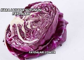 Kara Lahana Suyunun Faydaları