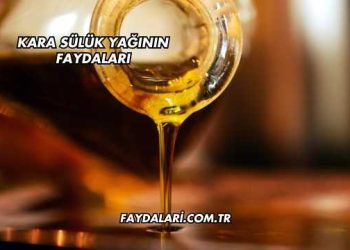 Kara Sülük Yağının Faydaları