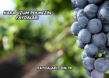 Kara Üzüm Pekmezin Faydaları