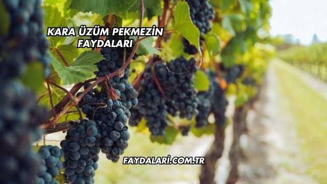 Kara Üzüm Pekmezin Faydaları