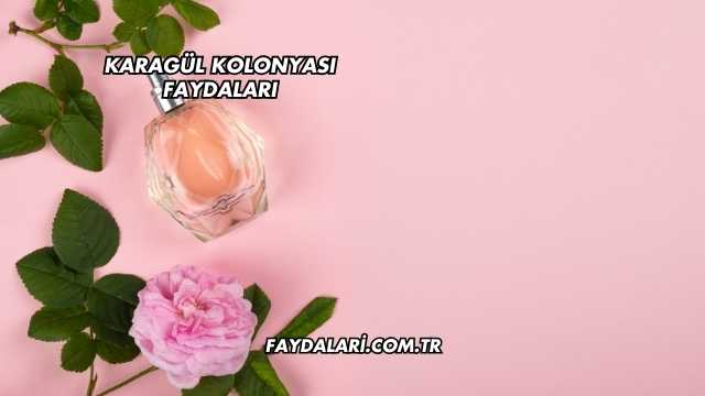 Karagül Kolonyası Faydaları