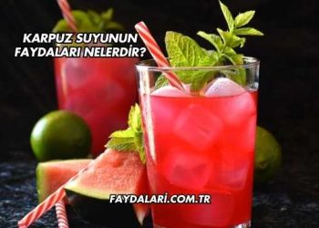 Karpuz Suyunun Faydaları Nelerdir?