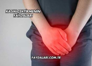 Kasık Çektirmenin Faydaları