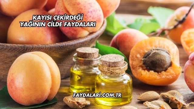 Kayısı Çekirdeği Yağının Cilde Faydaları