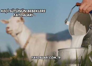 Keçi Sütünün Bebeklere Faydaları