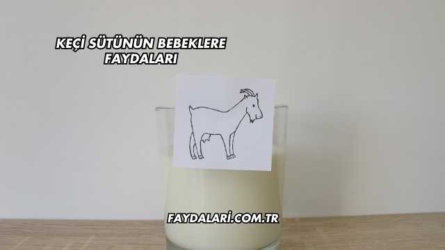 Keçi Sütünün Bebeklere Faydaları