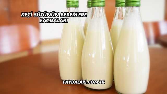 Keçi Sütünün Bebeklere Faydaları