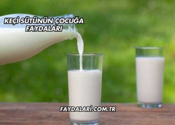 Keçi Sütünün Çocuğa Faydaları