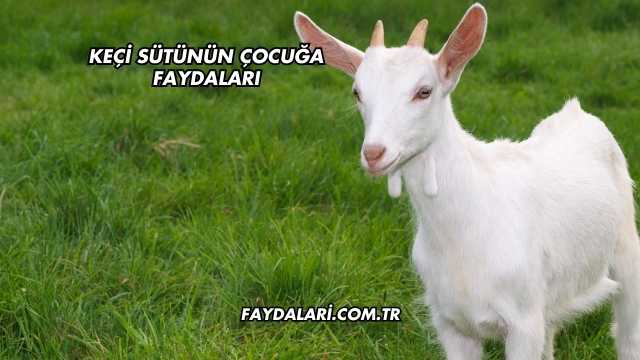 Keçi Sütünün Çocuğa Faydaları
