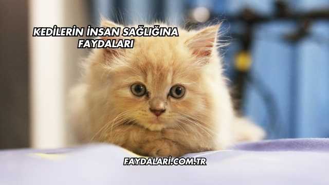 Kedilerin İnsan Sağlığına Faydaları
