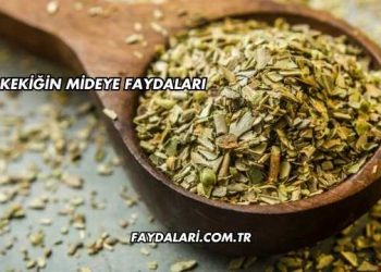 Kekiğin Mideye Faydaları