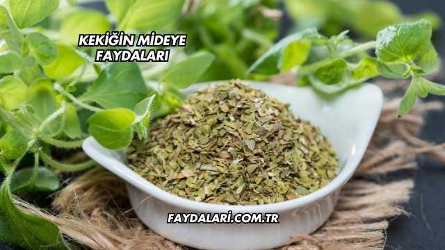Kekiğin Mideye Faydaları