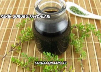 Kekik Şurubu Faydaları