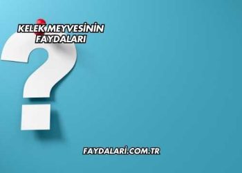 Kelek Meyvesinin Faydaları