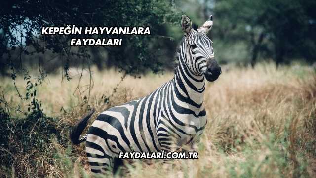 Kepeğin Hayvanlara Faydaları