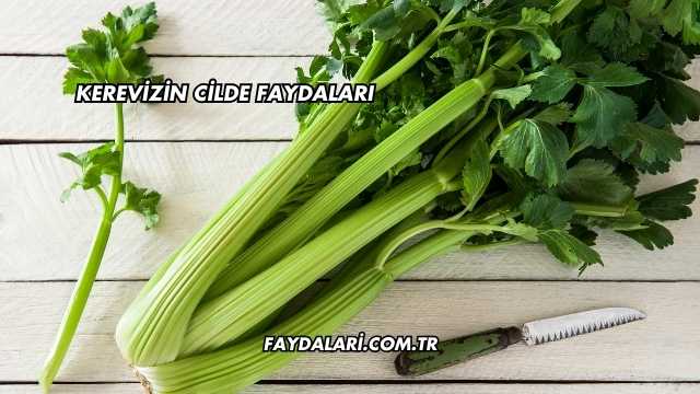 Kerevizin Cilde Faydaları