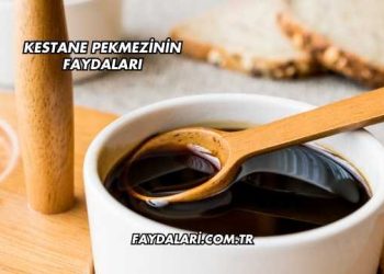 Kestane Pekmezinin Faydaları