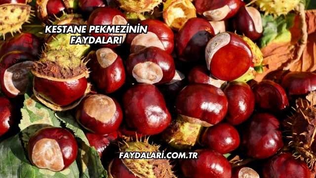 Kestane Pekmezinin Faydaları