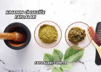 Kınanın Cinselliğe Faydaları