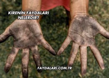 Kirenin Faydaları Nelerdir?