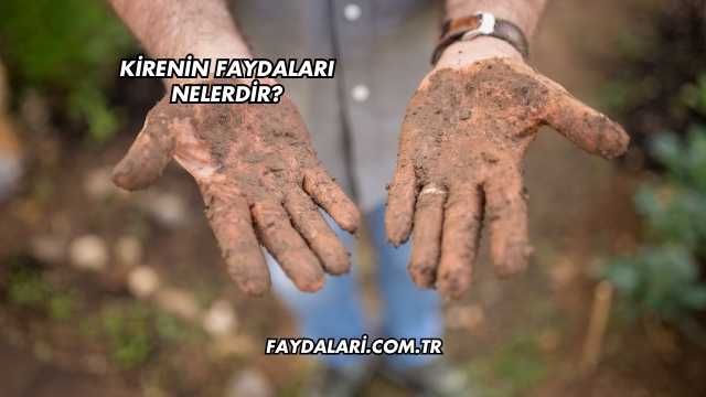 Kirenin Faydaları Nelerdir?
