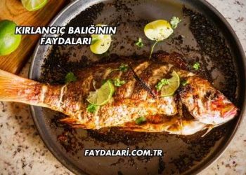 Kırlangıç Balığının Faydaları