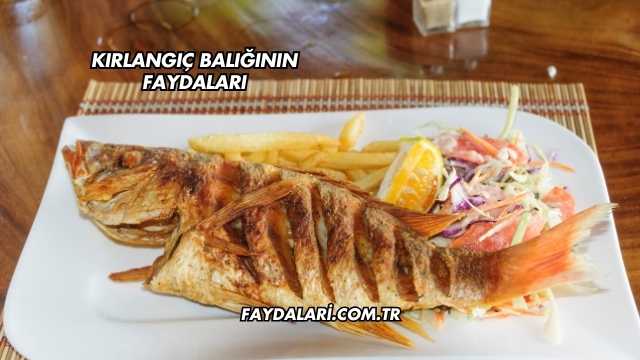 Kırlangıç Balığının Faydaları