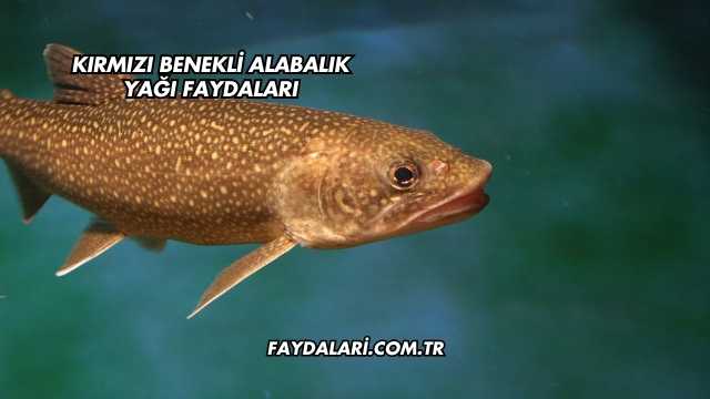 Kırmızı Benekli Alabalık Yağı Faydaları