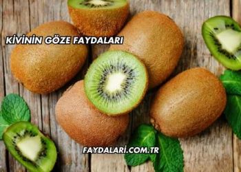 Kivinin Göze Faydaları