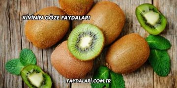 Kivinin Göze Faydaları