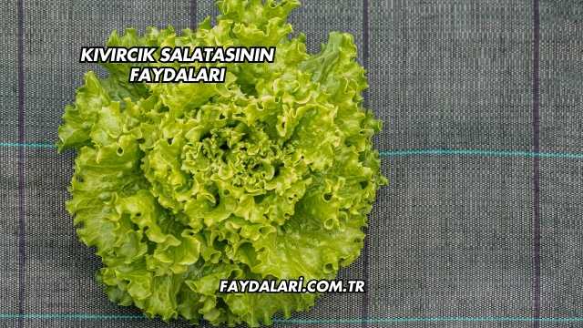 Kıvırcık Salatasının Faydaları