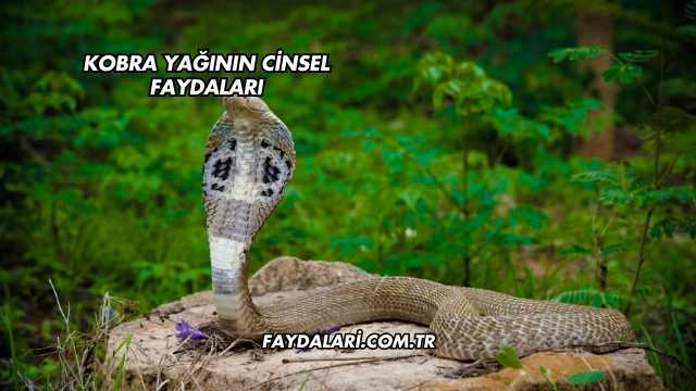 Kobra Yağının Cinsel Faydaları