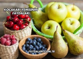 Kocakarı Yemişinin Faydaları