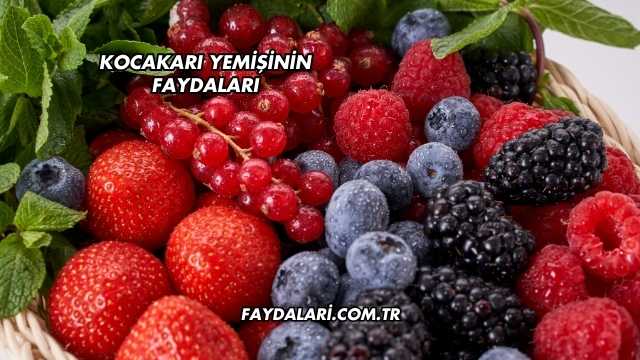 Kocakarı Yemişinin Faydaları