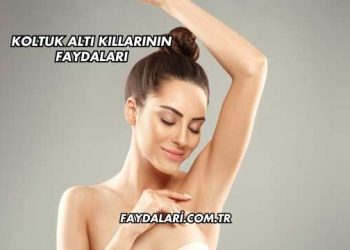 Koltuk Altı Kıllarının Faydaları