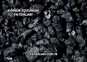 Kömür Tozunun Faydaları