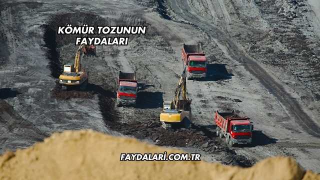 Kömür Tozunun Faydaları