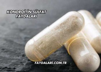 Kondroitin Sülfat Faydaları