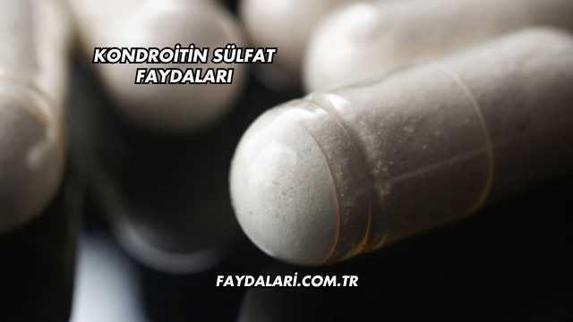 Kondroitin Sülfat Faydaları