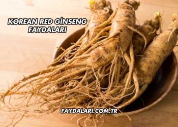 Korean Red Ginseng Faydaları