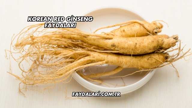Korean Red Ginseng Faydaları